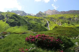 College in Austria for International students
