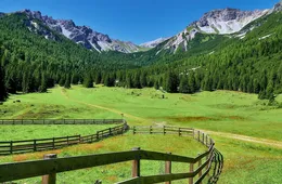Austria Austrian