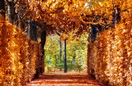 Study Abroad in Austria