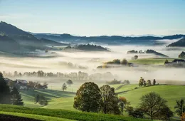 Austria women