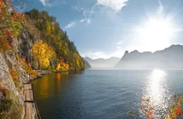 Universities in Austria Europe