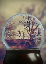 Stephansdom snowglobe