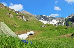 Educational system of Austria