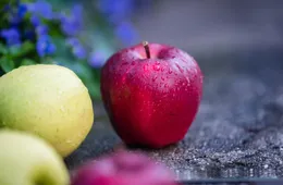 Apple education Store Austria