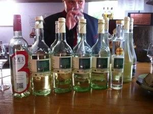 Cider Samples
