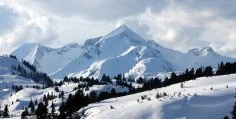 Austria: Facts