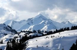 Austria: Facts